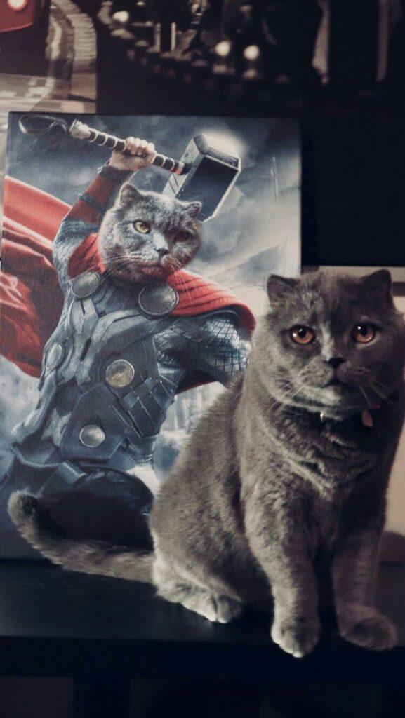 Özel Tasarım Thor Kedili Tablo