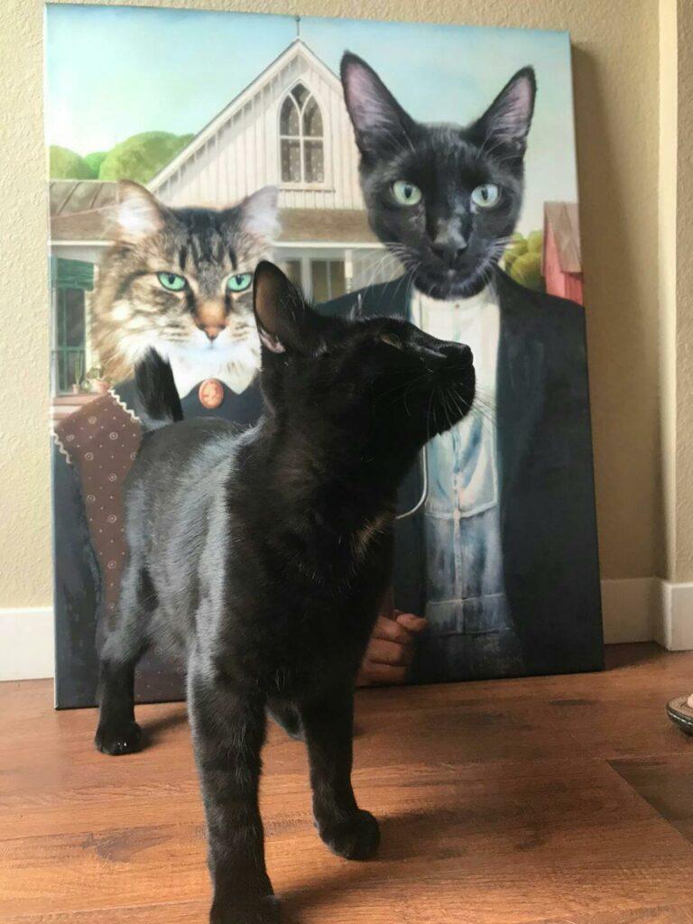 amerikan gothic kedi köpek tablosu