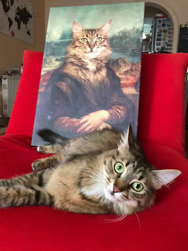 IMG 20200701 112524 841