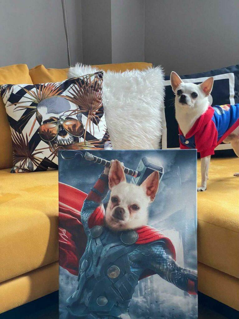 IMG 20201220 125356 057 1