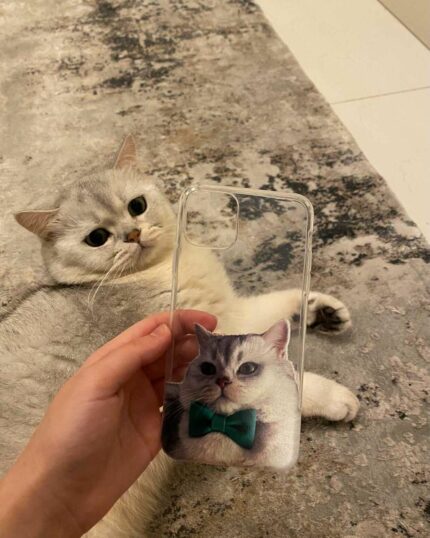 evcil hayvanlı Scottish fold şeffaf kılıf