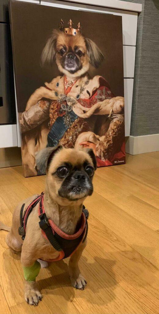 Custom Renaissance Pet Portraits