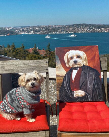 maltese asil bey portre