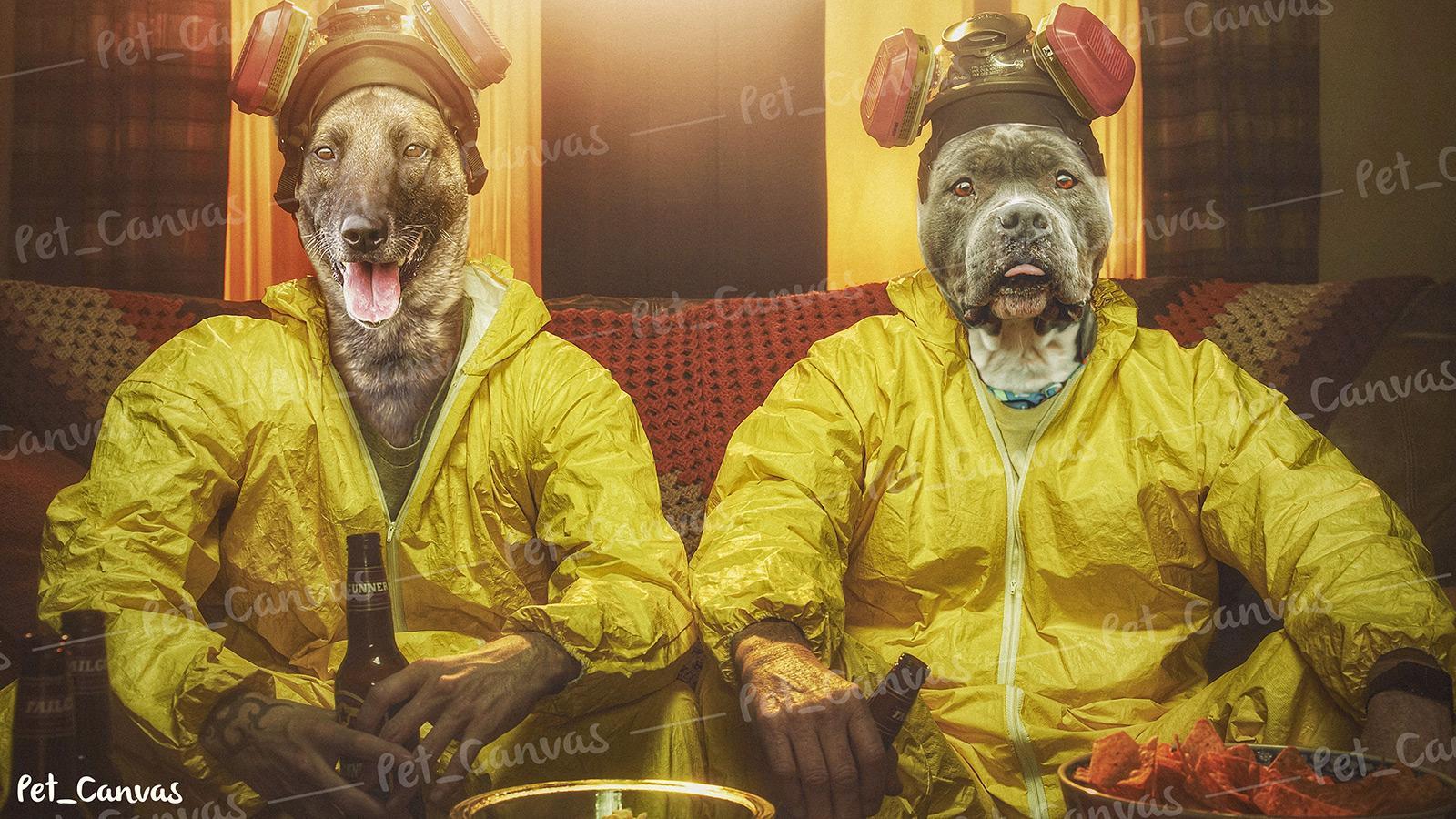 breaking bad evcil hayvan tablo