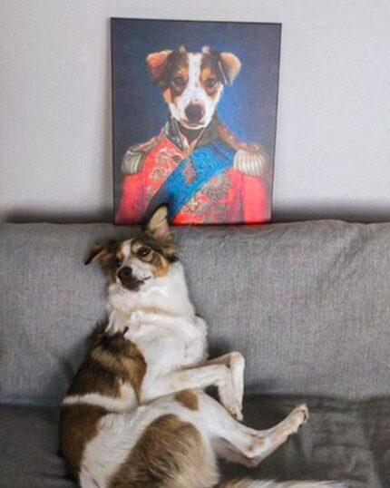 admiral köpek tablosu