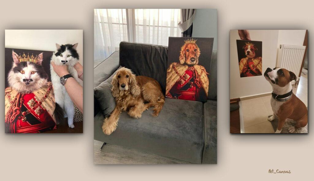 kraliyet evcil hayvan tablo