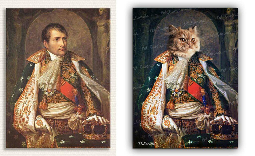 napoleon-king-cat