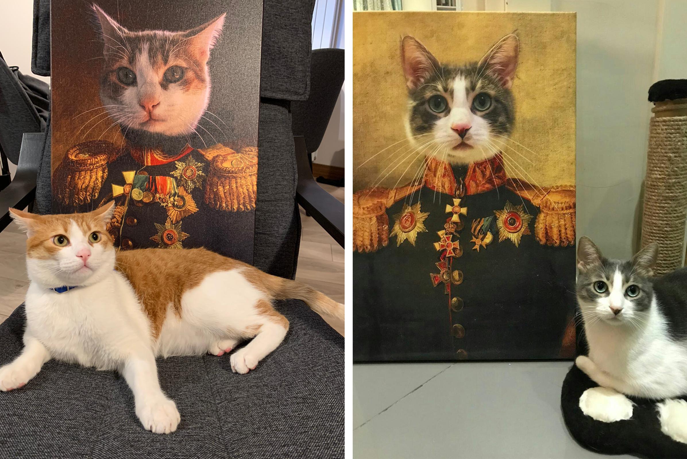 General Kedi Tablo Tasarımları