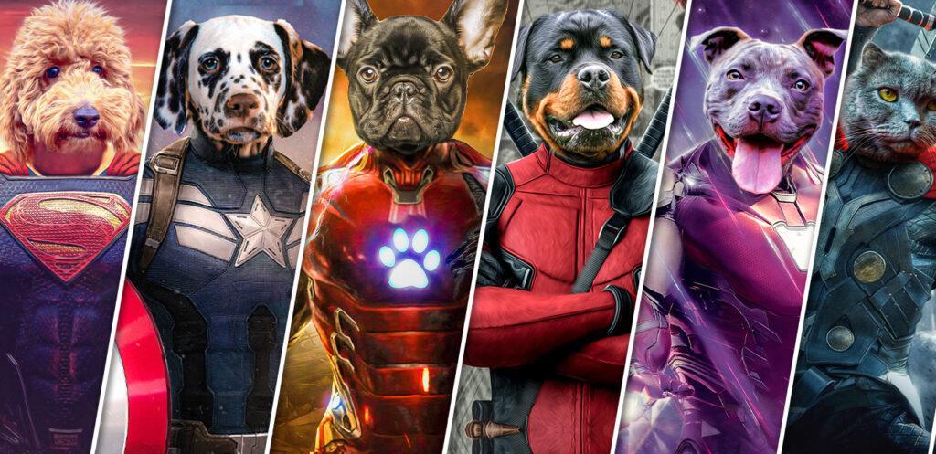 özel tasarım süper kahraman evcil hayvan petcanvas