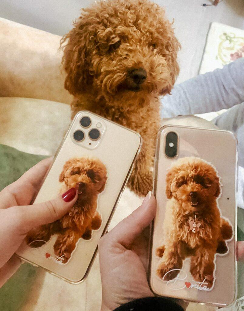 Özel Evcil Hayvan Tasarımı Şeffaf Telefon Kılıfları