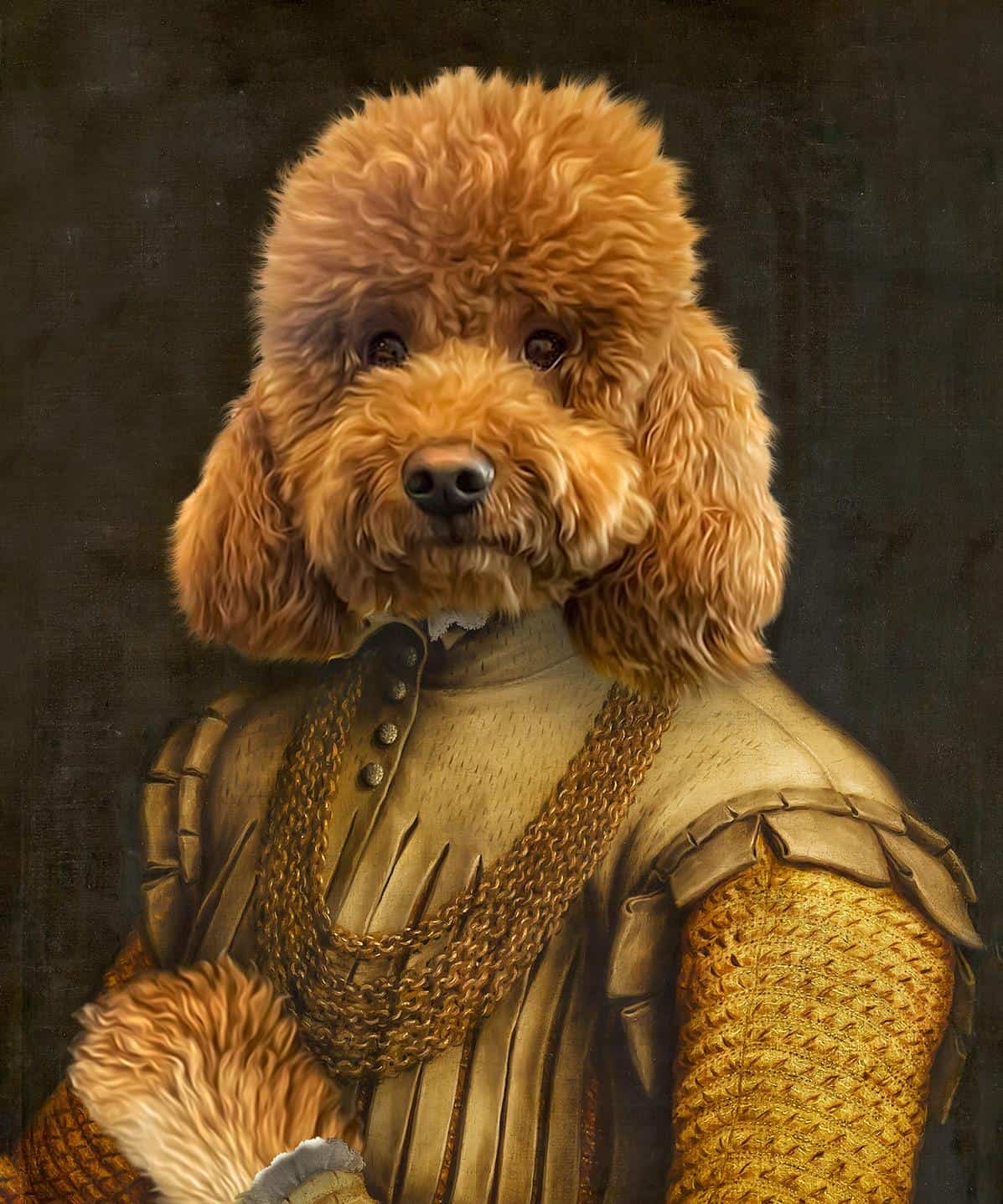 The Noble Gentleman #13 - Custom Design Pet Canvas Features A Brown Poodle’s Head On A Renaissance Nobleman’s Ornate Golden Body, Making A Funny And Regal Custom Pet Portrait Ideal For Unique Canvas Printing. Noble Gentleman #13 - Özel Tasarım Evcil Hayvan Tuvalinde, Rönesans dönemine ait bir asilzadenin süslü altın rengi vücudunda kahverengi bir kaniş kafası yer almaktadır. Bu, benzersiz tuval baskısı için ideal olan komik ve asil bir özel evcil hayvan portresi oluşturmaktadır.