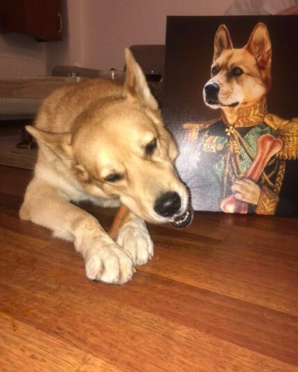 general köpek tablosu