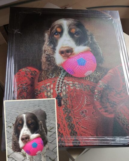 cocker kızıl kraliçe kostümü