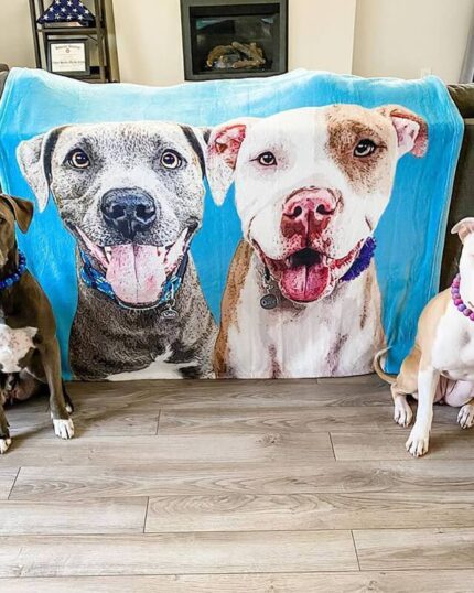 köpekli polar battaniye