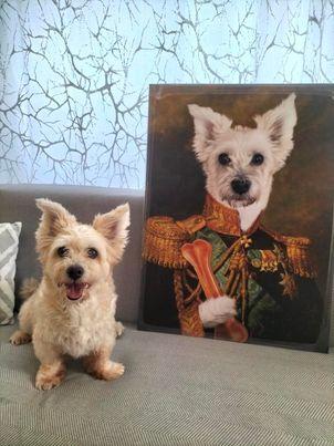 A small, fluffy dog sits on a couch next to "The General with Toy #9 - Custom Design Pet Canvas," depicting the pet in a regal military uniform holding a bone. The happy dog grins, and a light curtain creates a soft background.