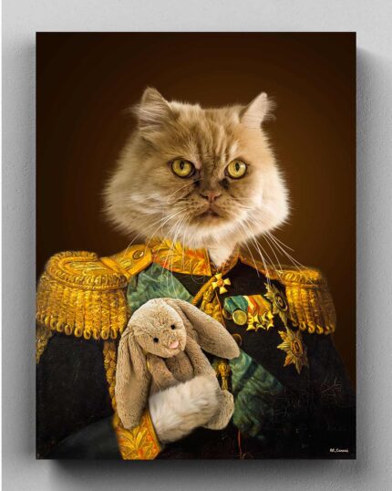 huysuz bakışlı general kedi