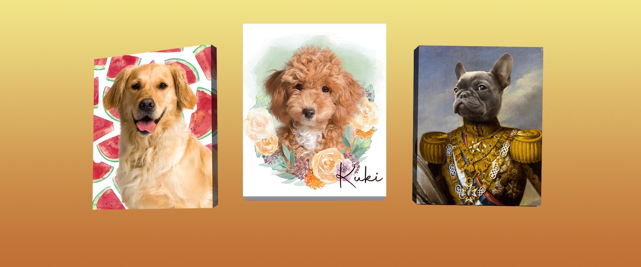 petcanvas sanat stil seçimi