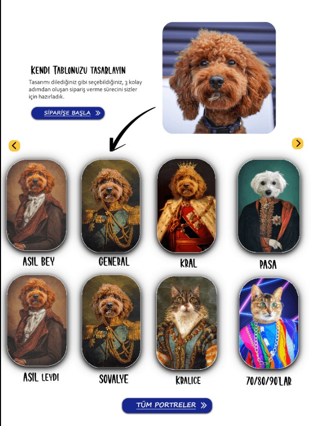 petcanvas sanat stil seçimi