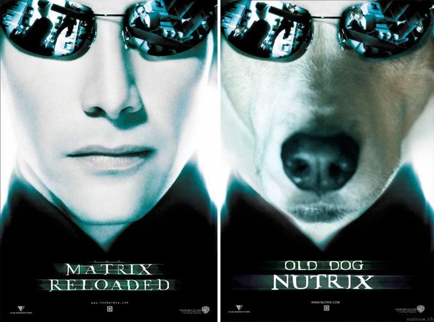 matrix köpek tablo