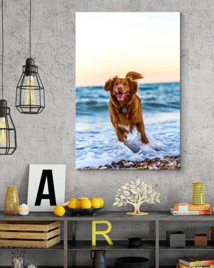 Duvarda, sahilde koşan mutlu bir kahverengi köpeğin resmedildiği büyük bir “Tuvali Tasarla” tablosu asılıdır. Altında, modern bir rafta kitaplar, limonlar, dekoratif eşyalar ve sanat eserleri yer almaktadır. Yakınında endüstriyel tarzda sarkıt lambalar asılıdır.