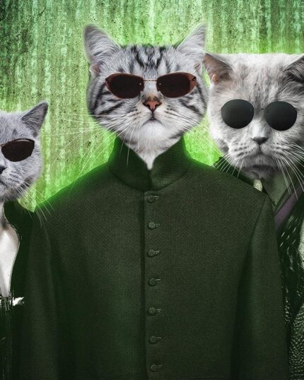 matrix evcil hayvan tablosu