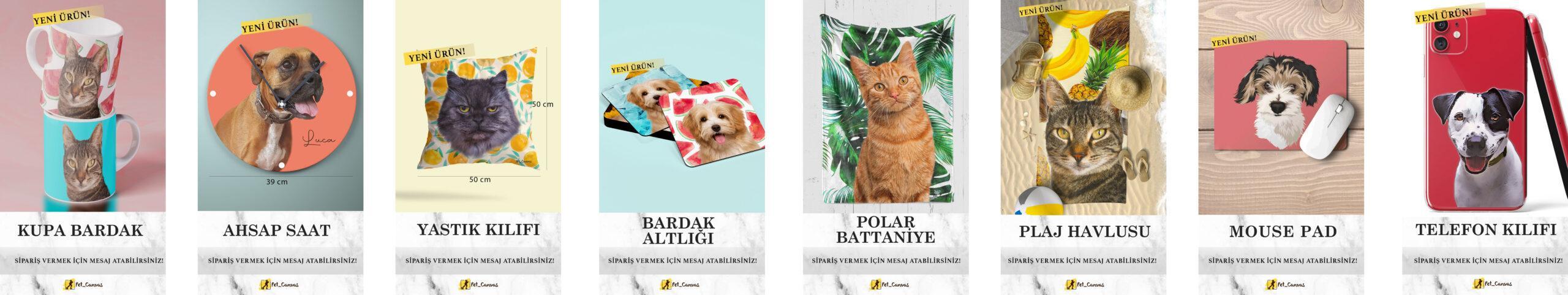 stroy likArtboard 1 copy 4 scaled