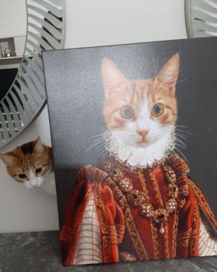 kırmızı kraliçe sarman kedi