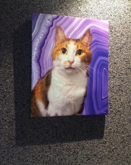 pop art kedi çizimi