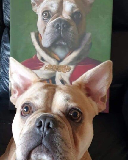 kral french buldog tablosu