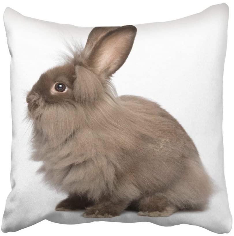 personalised rabbit pillow