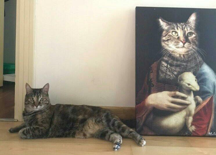 kakımlı kadın kedi tablosu