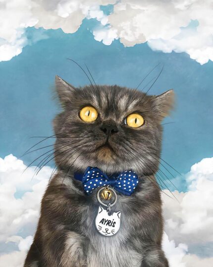 bulutlu iran kedisi tablo