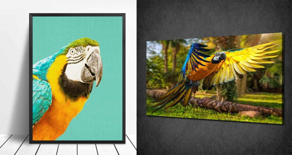 dekoratif papağan tabloları