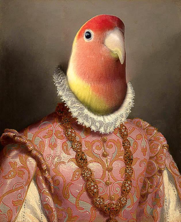 asil leydi kostümlü papağan