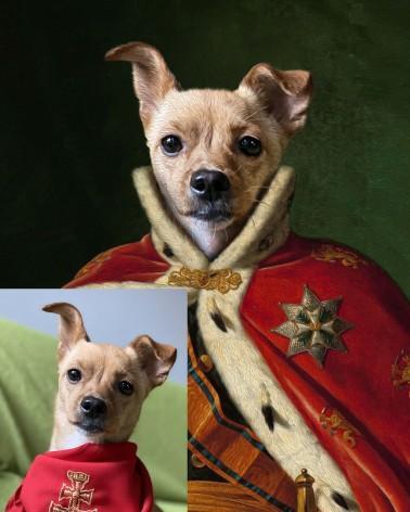 kral fino köpek kostüm