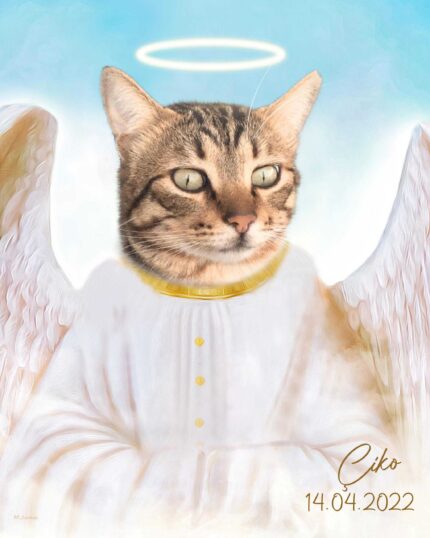 The Angel #3 - Custom Pet Canvas showcases a digital illustration of a tabby cat with a halo, angel wings, and white robe on a light blue background. "Ciko 14.04.2022" appears in the lower right—ideal for canvas printing.
