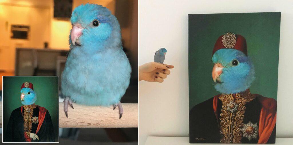 custom design Parrot ottoman