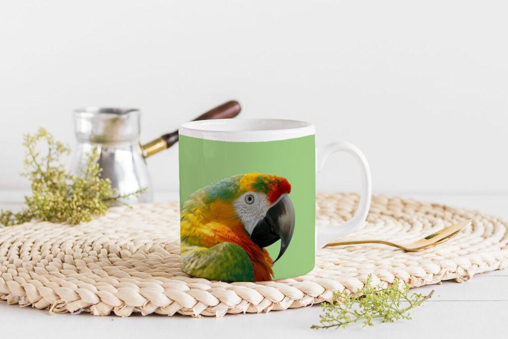 papağanlı özel tasarım kupa