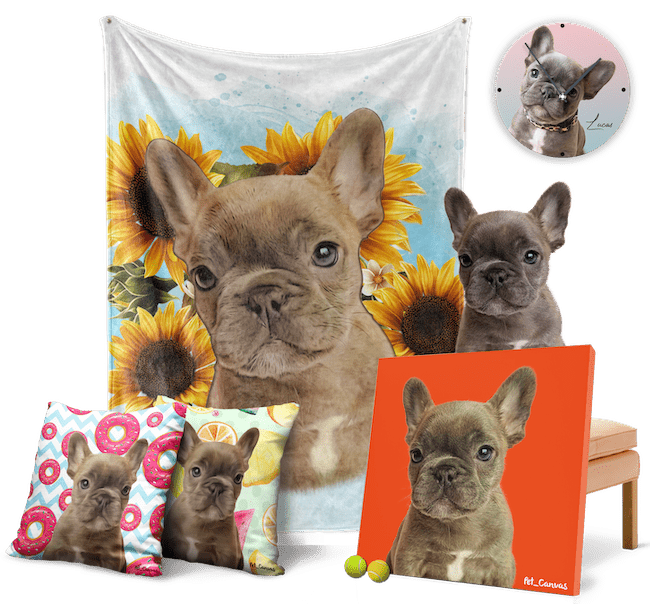 petcanvas hediyenin en patili hali