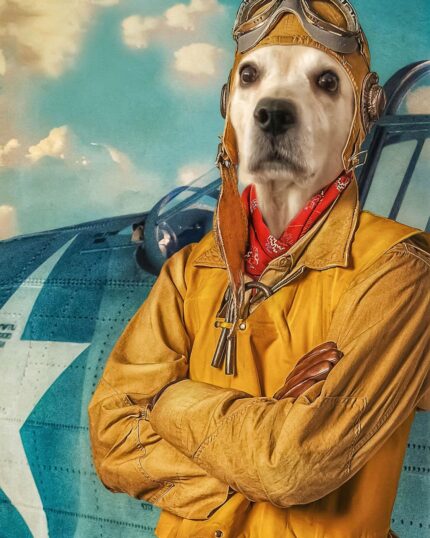 labrador retro uçak pilotu