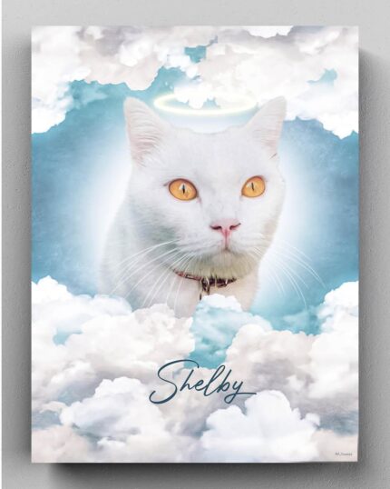 beyaz van kedisi bulutlu