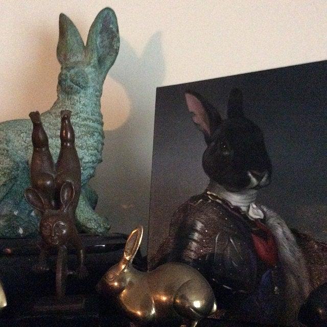 rabbit as medieval knight
