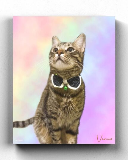 tekir kedi rengarenk tablo