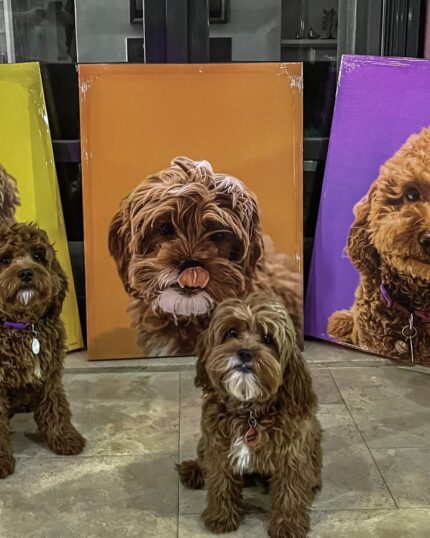 petcanvas pop art tablosu