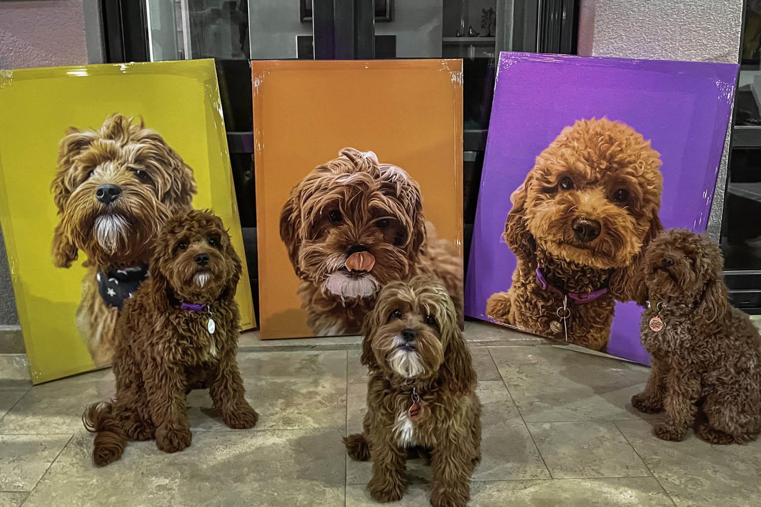 petcanvas pop art tablosu