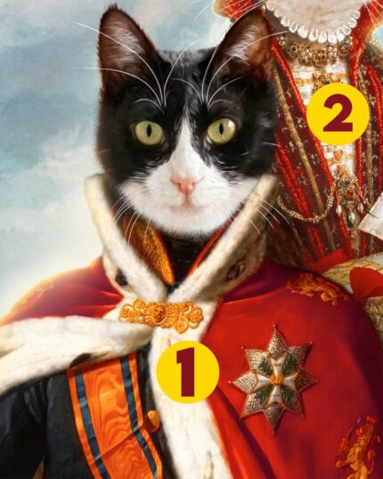 siyah beyaz kedi kral kostüm