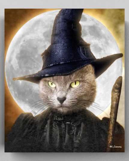 Cadı Kedi Kostümü