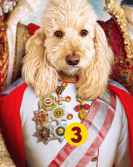 admiral beyaz cocker