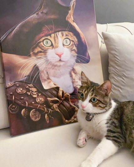 korsan kostümlü kedi