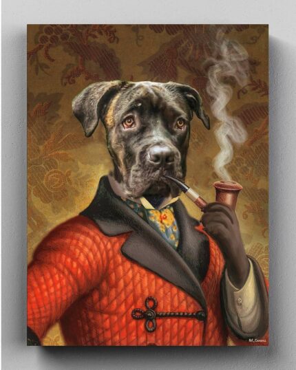 zengin boxer playboy gecelik